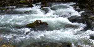 Somatic Experiencing - Lebensfluss 2