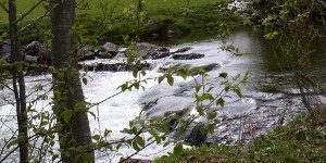 Somatic Experiencing - Lebensfluss 1